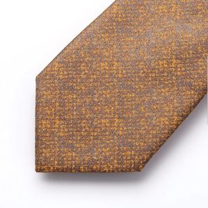 IRIDESCENT TIE & SQUARE SETZ